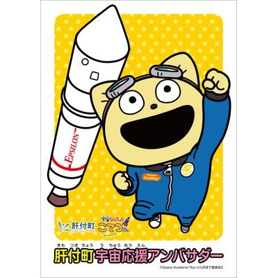 観測ロケット打ち上げイベント